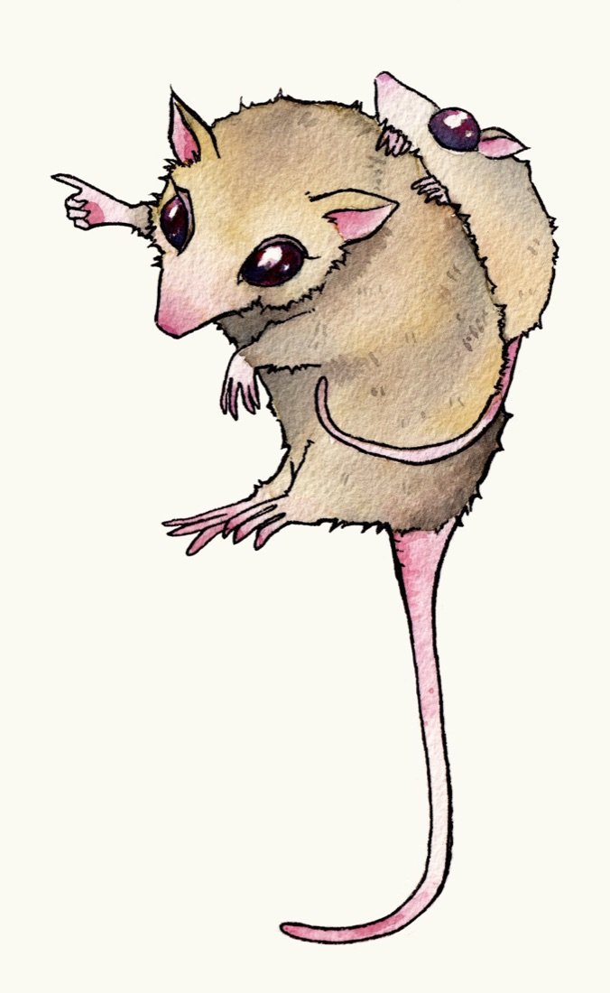 La ratita y su cría, personaje del programa narrativo, ilustrado en acuarela